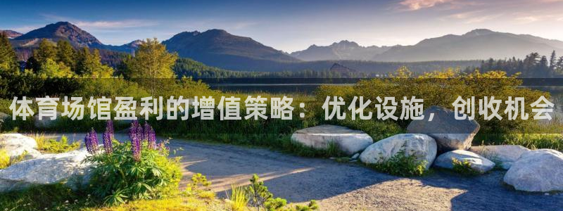 意昂体育3招商电话地址是多少：体育场馆盈利的增值策略