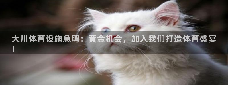 意昂体育3平台注册流程图：大川体育设施急聘：黄金机会