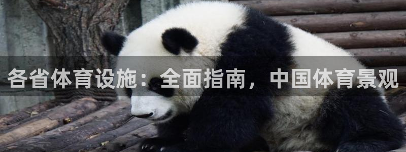 意昂体育3平台注册要钱吗是真的吗：各省体育设施：全面