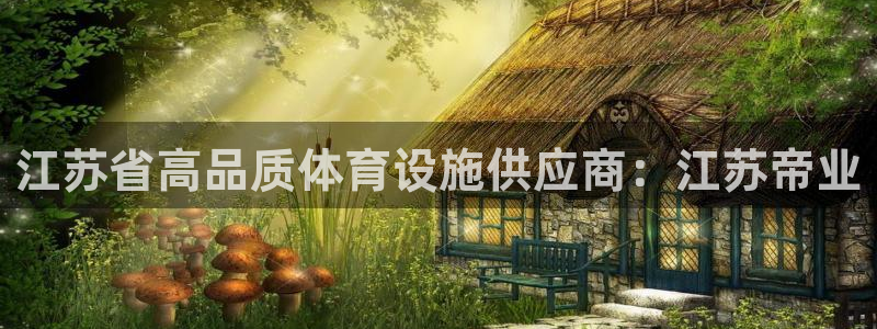 意昂3娱乐下载：江苏省高品质体育设施供应商：江苏帝业