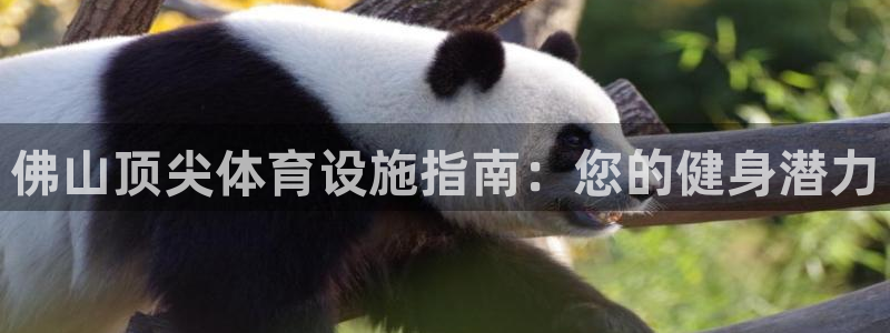 意昂3集团官网首页：佛山顶尖体育设施指南：您的健身潜