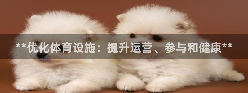 意昂体育3招商电话：**优化体育设施：提升运营、参与