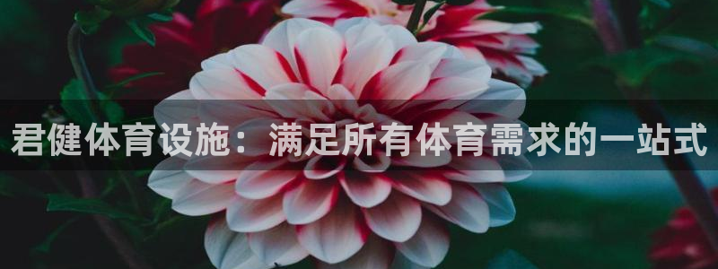 德国意昂3集团：君健体育设施：满足所有体育需求的一站
