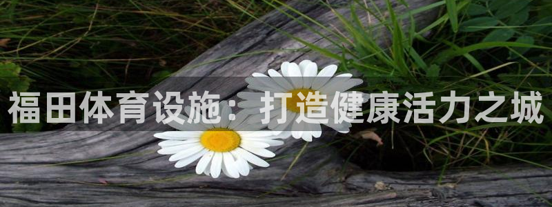 意昂体育3招商电话是多少：福田体育设施：打造健康活力