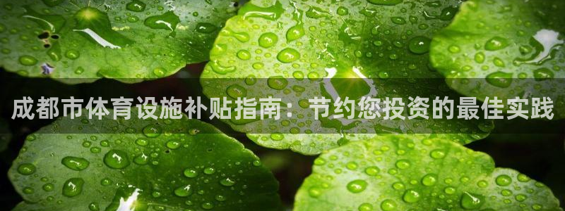意昂3娱乐网站：成都市体育设施补贴指南：节约您投资的