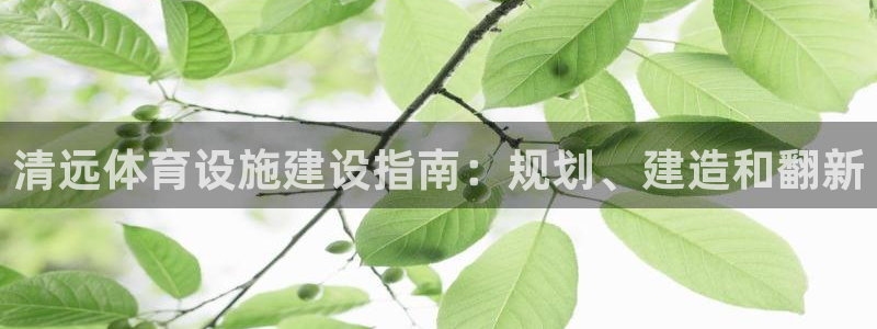 意昂体育3招商电话号码是多少号：清远体育设施建设指南