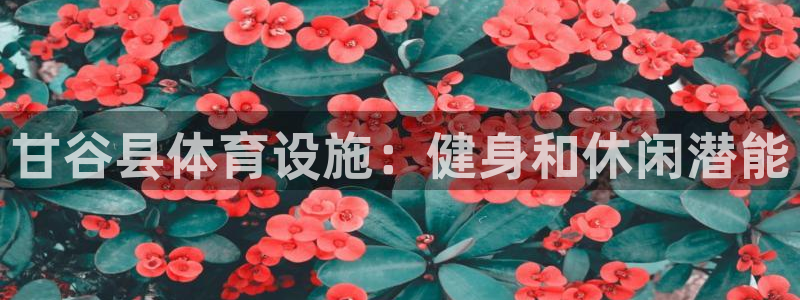 意昂体育3平台注册：甘谷县体育设施：健身和休闲潜能