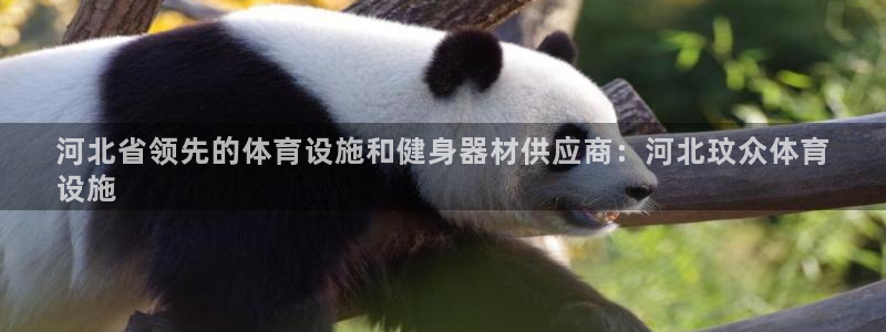 意昂体育3平台注册流程图：河北省领先的体育设施和健身