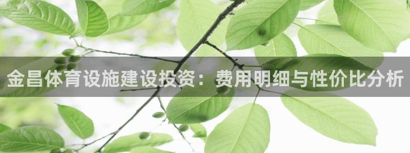 意昂体育3软件：金昌体育设施建设投资：费用明细与性价