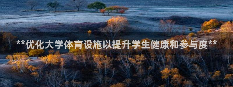 注册意昂3：**优化大学体育设施以提升学生健康和参与
