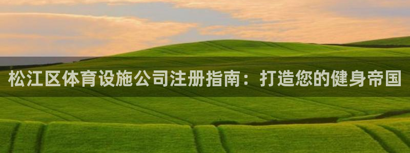 意昂3娱乐网站：松江区体育设施公司注册指南：打造您的
