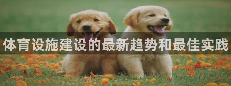 意昂体育3招商电话地址查询：体育设施建设的最新趋势和