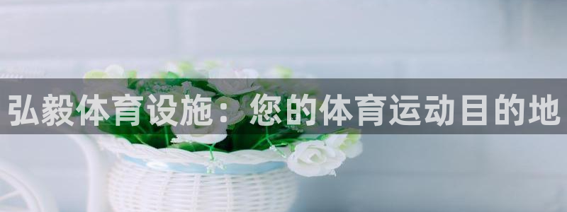 意昂3集团官网首页：弘毅体育设施：您的体育运动目的地