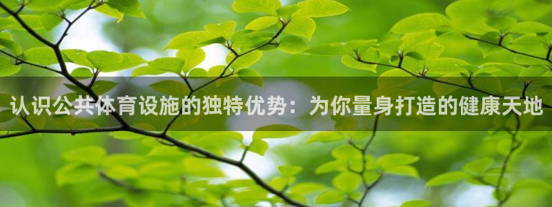 意昂体育3招商电话号码查询是多少：认识公共体育设施的