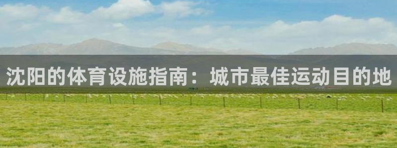 意昂3开户：沈阳的体育设施指南：城市最佳运动目的地