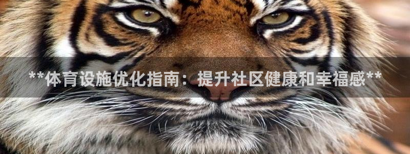 意昂3五金厂：**体育设施优化指南：提升社区健康和幸