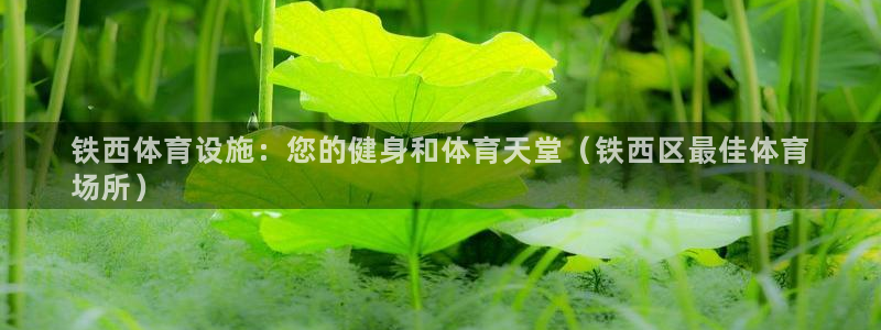 意昂体育3平台注册要钱吗：铁西体育设施：您的健身和体