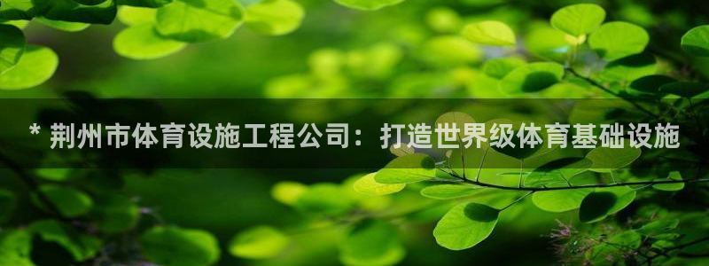 意昂3集团官网网址：* 荆州市体育设施工程公司：打造