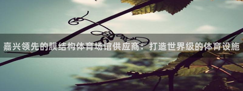 意昂体育3平台注册要钱吗安全吗：嘉兴领先的膜结构体育