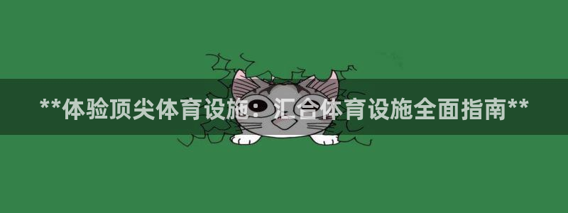意昂3娱乐平台：**体验顶尖体育设施：汇合体育设施全