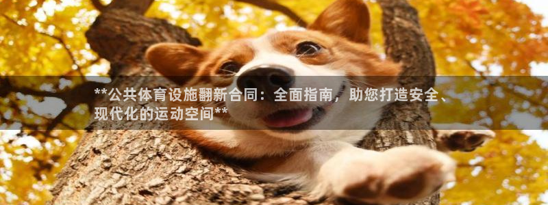 意昂3集团简介