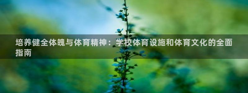 意昂体育3平台假的吗是真的吗吗：培养健全体魄与体育精
