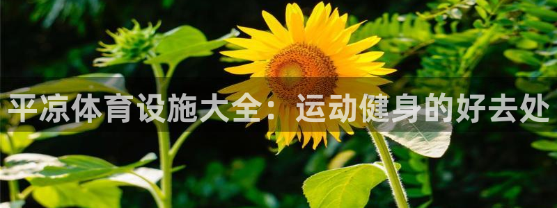 海南意昂体育3