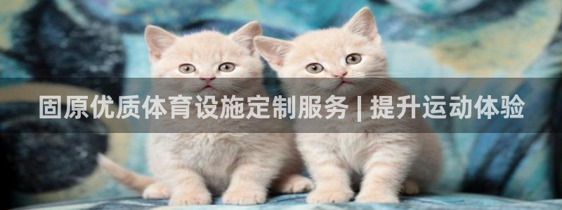 意昂体育3注册：固原优质体育设施定制服务 | 提升运