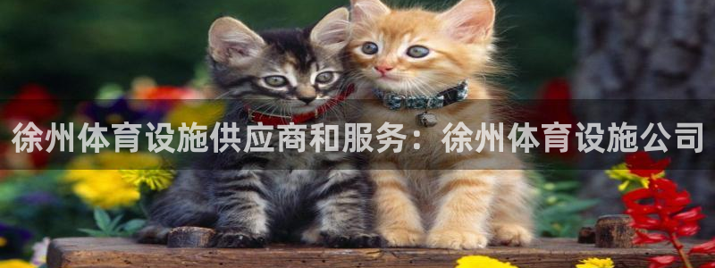 意昂体育3注册：徐州体育设施供应商和服务：徐州体育设