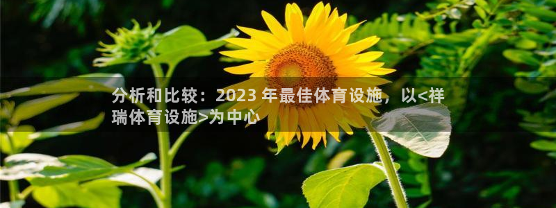 意昂3娱乐40996：分析和比较：2023 年最佳体