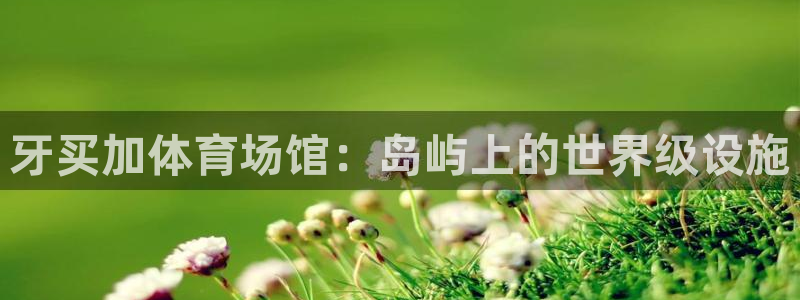 意昂体育3是干嘛的公司：牙买加体育场馆：岛屿上的世界