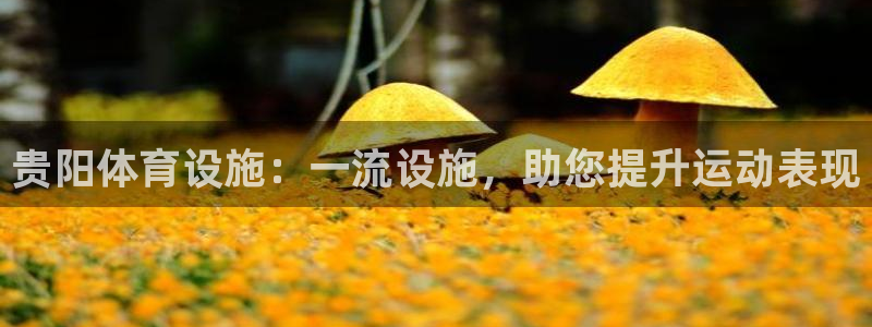 意昂体育3平台是正规平台吗安全吗：贵阳体育设施：一流
