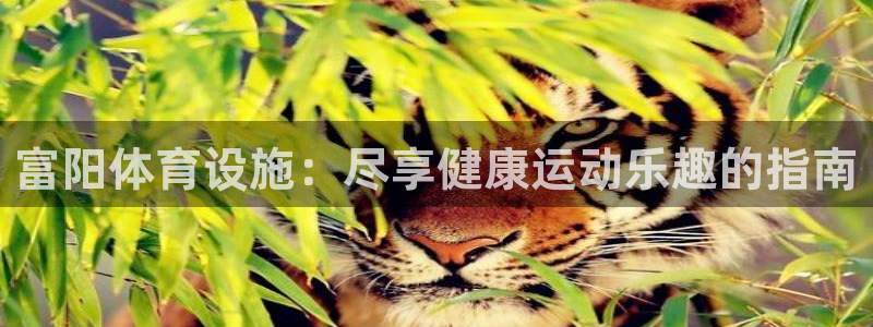 意昂体育3平台注册要钱吗：富阳体育设施：尽享健康运动
