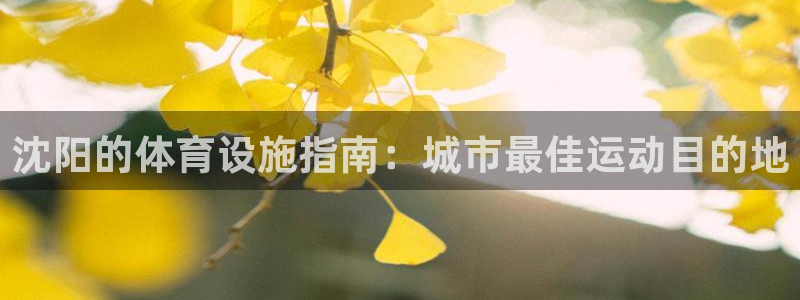 意昂体育3娱乐：沈阳的体育设施指南：城市最佳运动目的