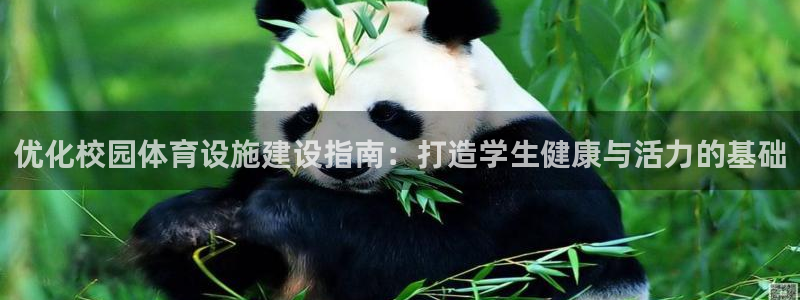 意昂体育3招商电话号码是多少：优化校园体育设施建设指