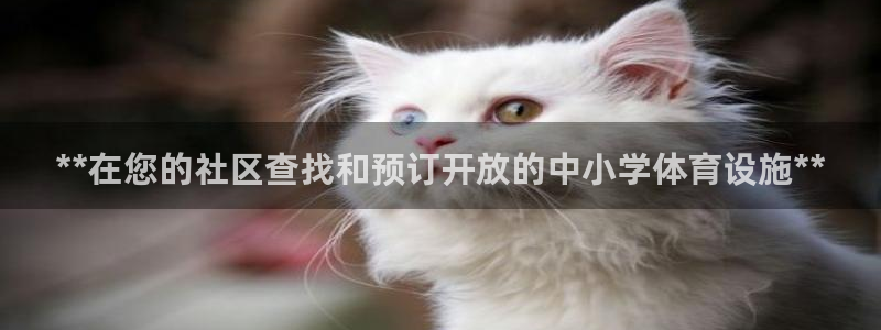 意昂3神州：**在您的社区查找和预订开放的中小学体育