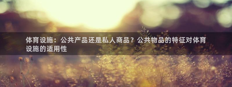 意昂体育3平台假的吗是真的吗：体育设施：公共产品还是