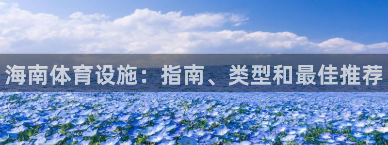 意昂3集团简介：海南体育设施：指南、类型和最佳推荐