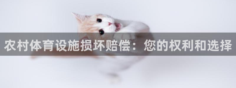 意昂体育3平台是正规平台吗安全吗：农村体育设施损坏赔