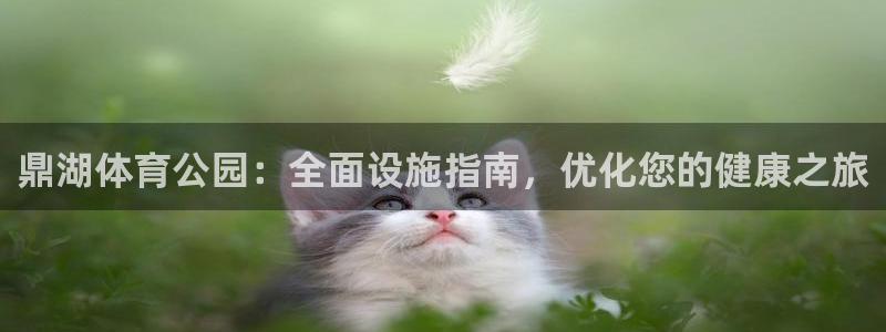 意昂3娱乐网站