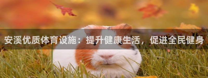 意昂体育3招商电话是多少：安溪优质体育设施：提升健康