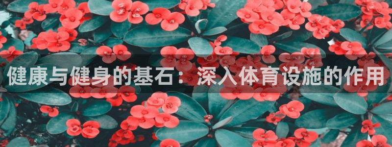 意昂体育3招商电话号码是多少号：健康与健身的基石：深