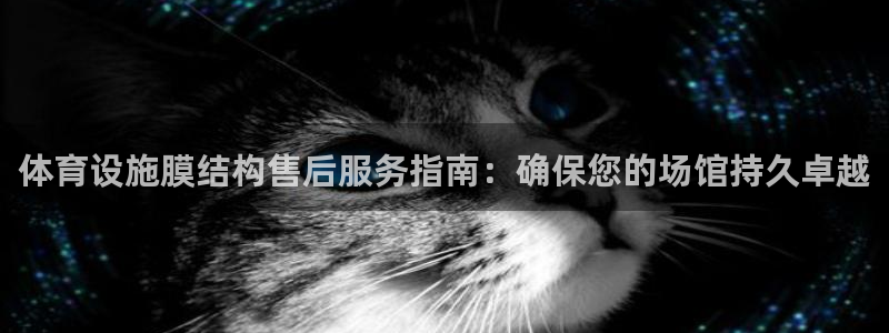 意昂3娱乐平台：体育设施膜结构售后服务指南：确保您的