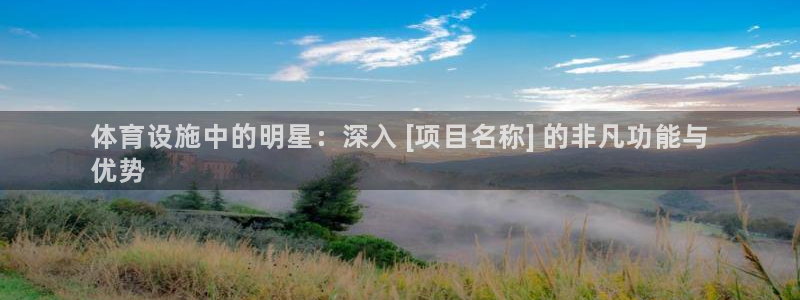 意昂体育3：体育设施中的明星：深入 [项目名称] 的