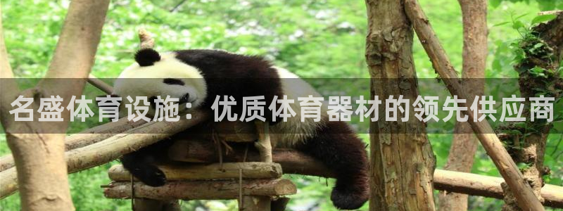 意昂体育3平台注册：名盛体育设施：优质体育器材的领先