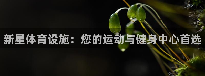 意昂体育3招商电话号码查询是多少：新星体育设施：您的