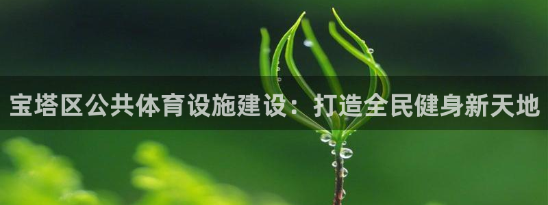 意昂3代理