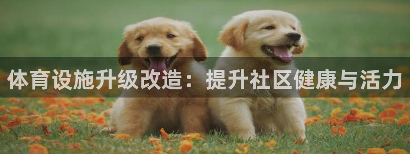 意昂3娱乐下载：体育设施升级改造：提升社区健康与活力