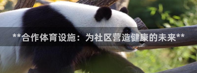 意昂体育3招商电话：**合作体育设施：为社区营造健康