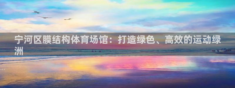意昂体育3平台假的吗是真的吗：宁河区膜结构体育场馆：